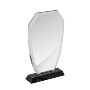 Luxe Award WCA08