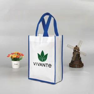 Texara | 11343BL Vertical Non woven Bag Blue