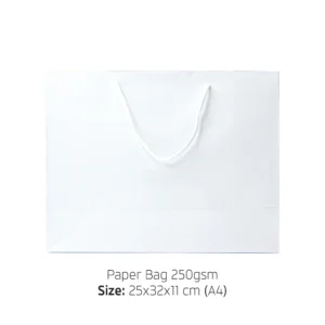 Astralix3 | 11249 A4 Paper Bag