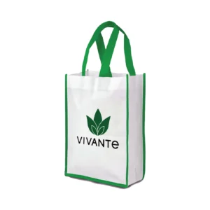 Texara | 11343GN Vertical Non woven Bag Green