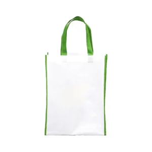 Phyrianix | 11208GN Eco-friendly Non-woven Bag Green