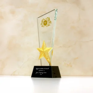 AYRUS | 11603 Crystal Trophy with Metal Star