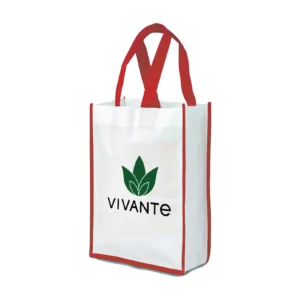 Texara | 11343RD Vertical Non woven Bag Red