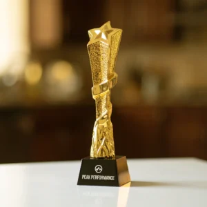 ZaltStar | 11578 Award Trophy Star slanted full gold with black base
